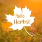 Preview: Vinyl Sticker Hallo Herbst